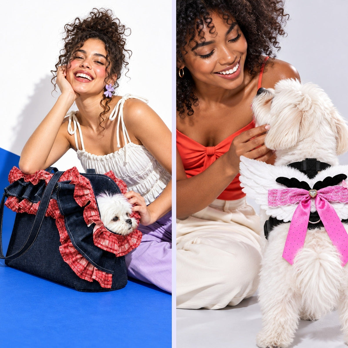 How to Choose a Small Dog Harness or Pet Carrier