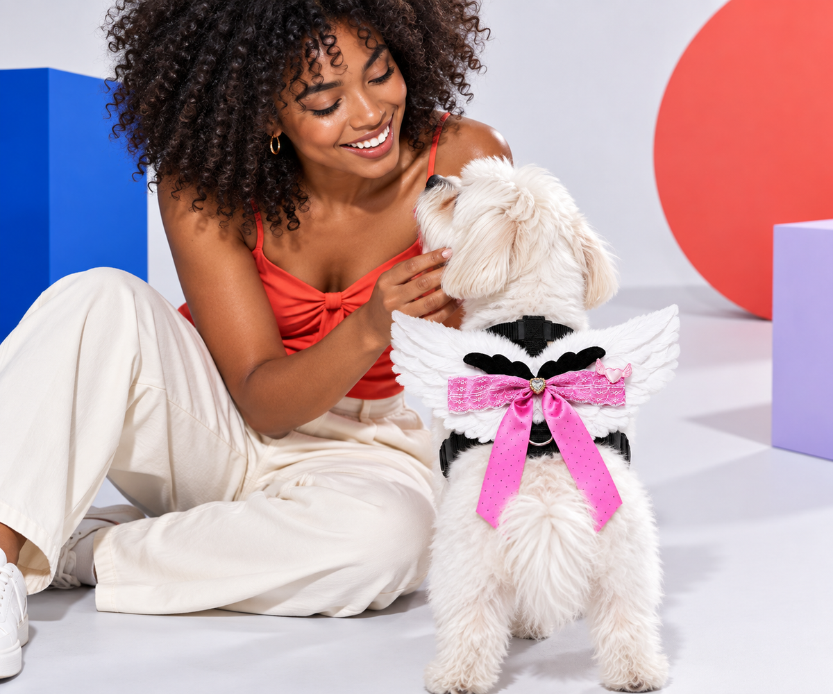 Harness & Leash Sets