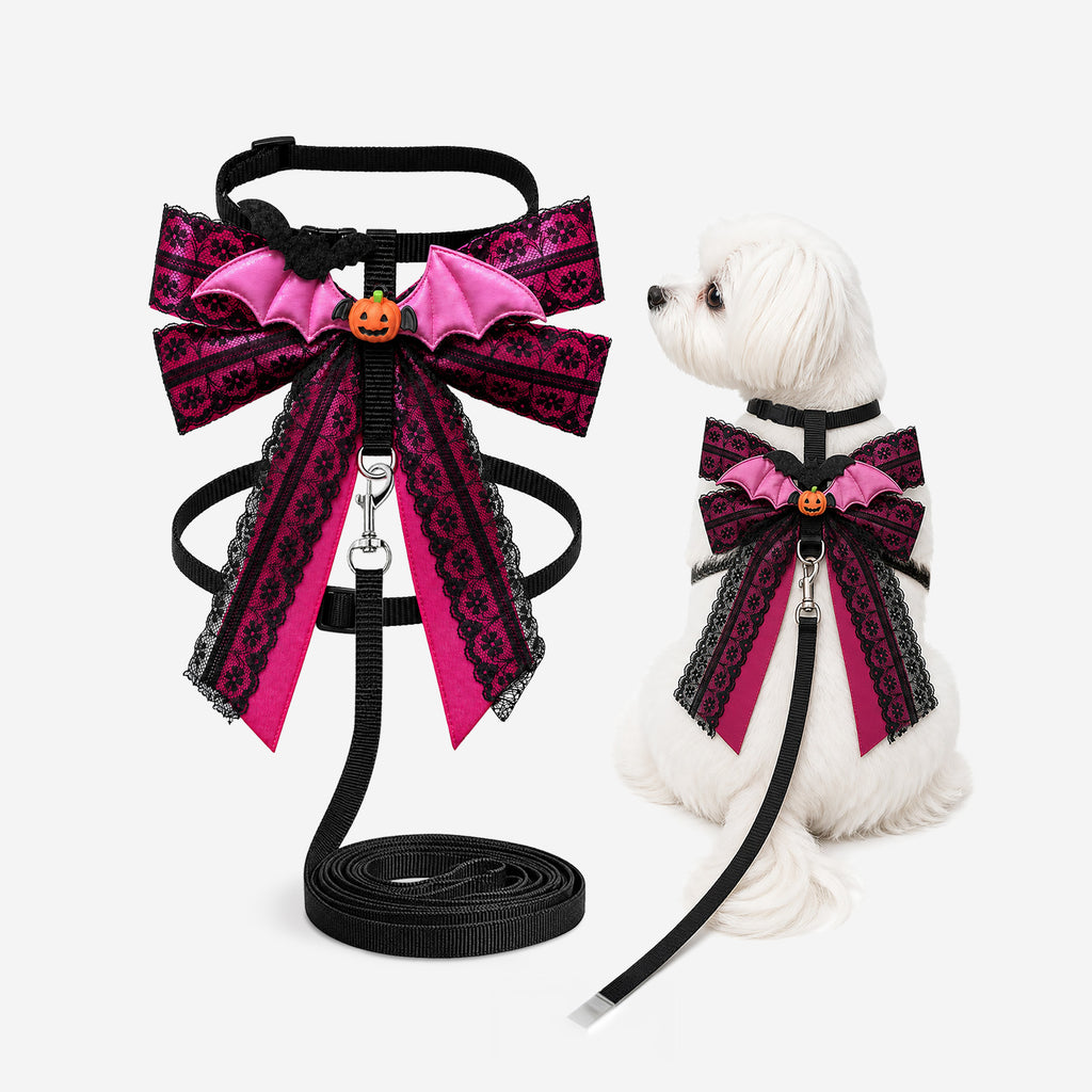 Midnight Bat Bow Harness