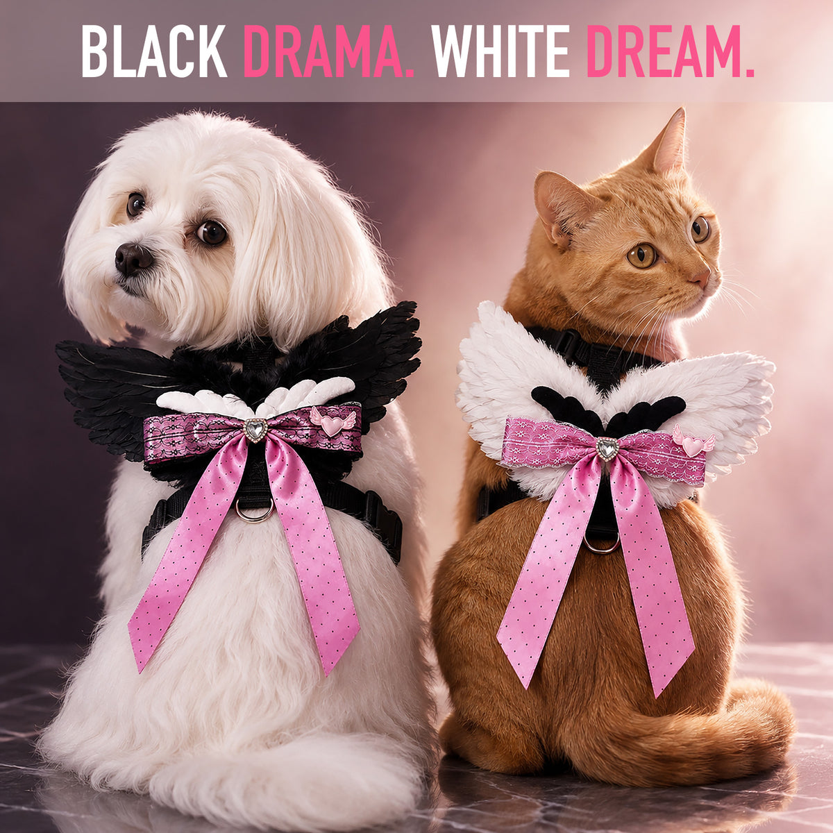 Angel Wings Harness & Leash