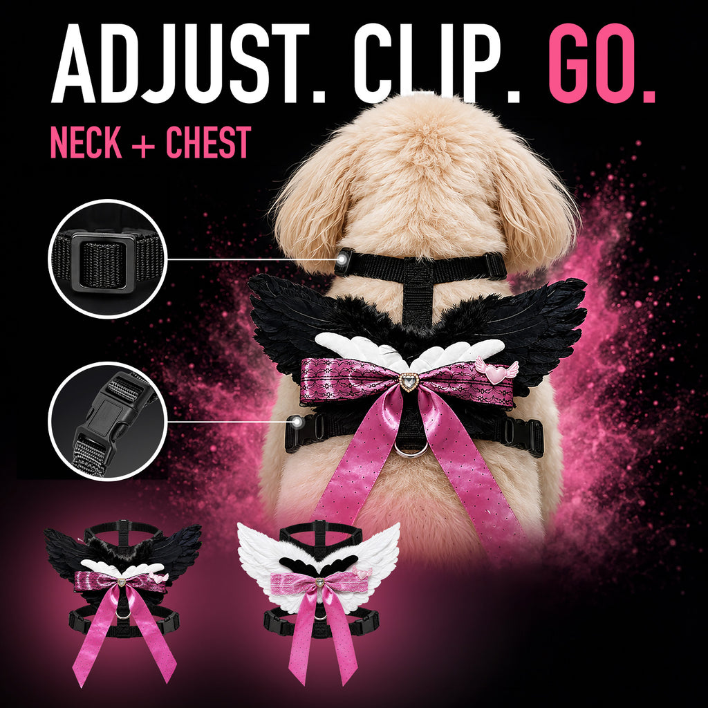 Angel Wings Harness & Leash