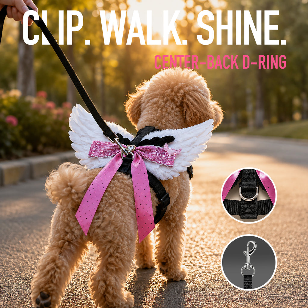 Angel Wings Harness & Leash