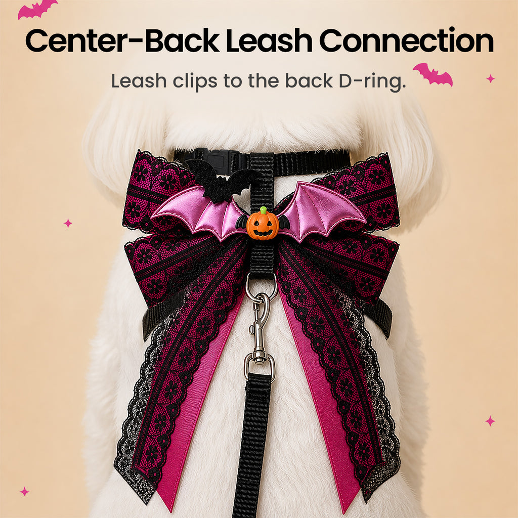 Midnight Bat Bow Harness