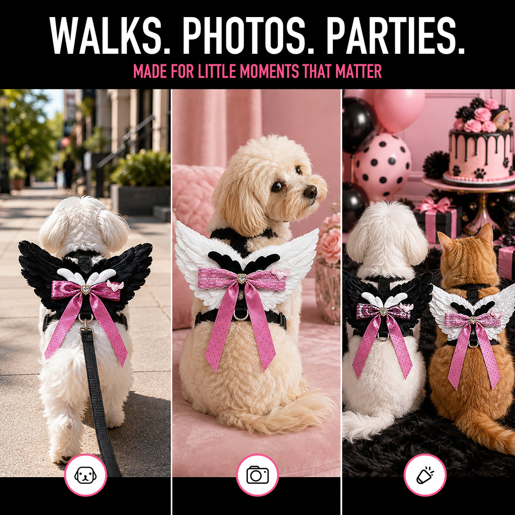 Angel Wings Harness & Leash
