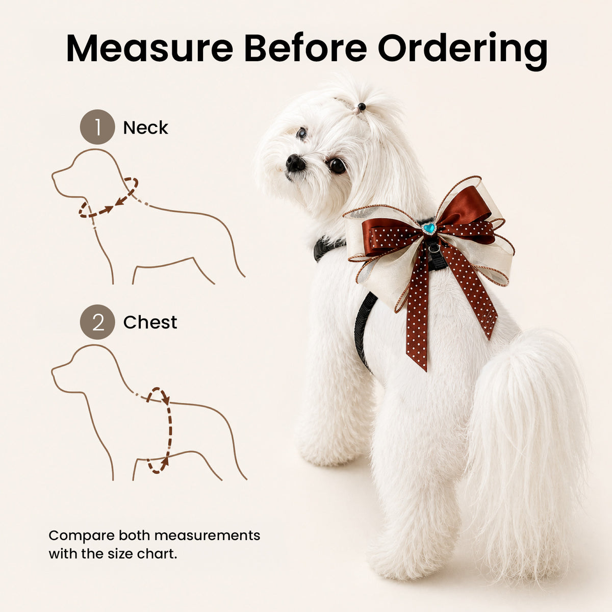 Cocoa Couture Bow Harness