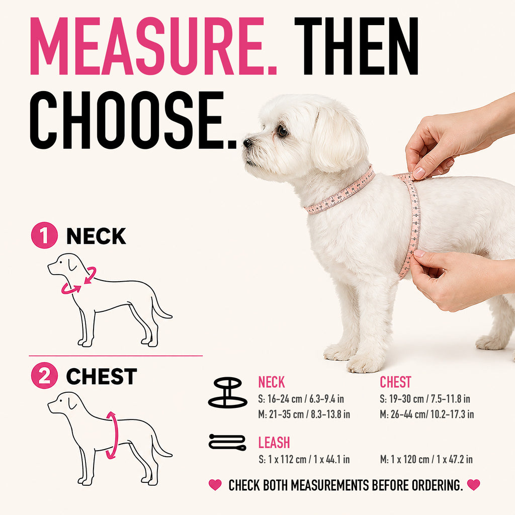 Angel Wings Harness & Leash