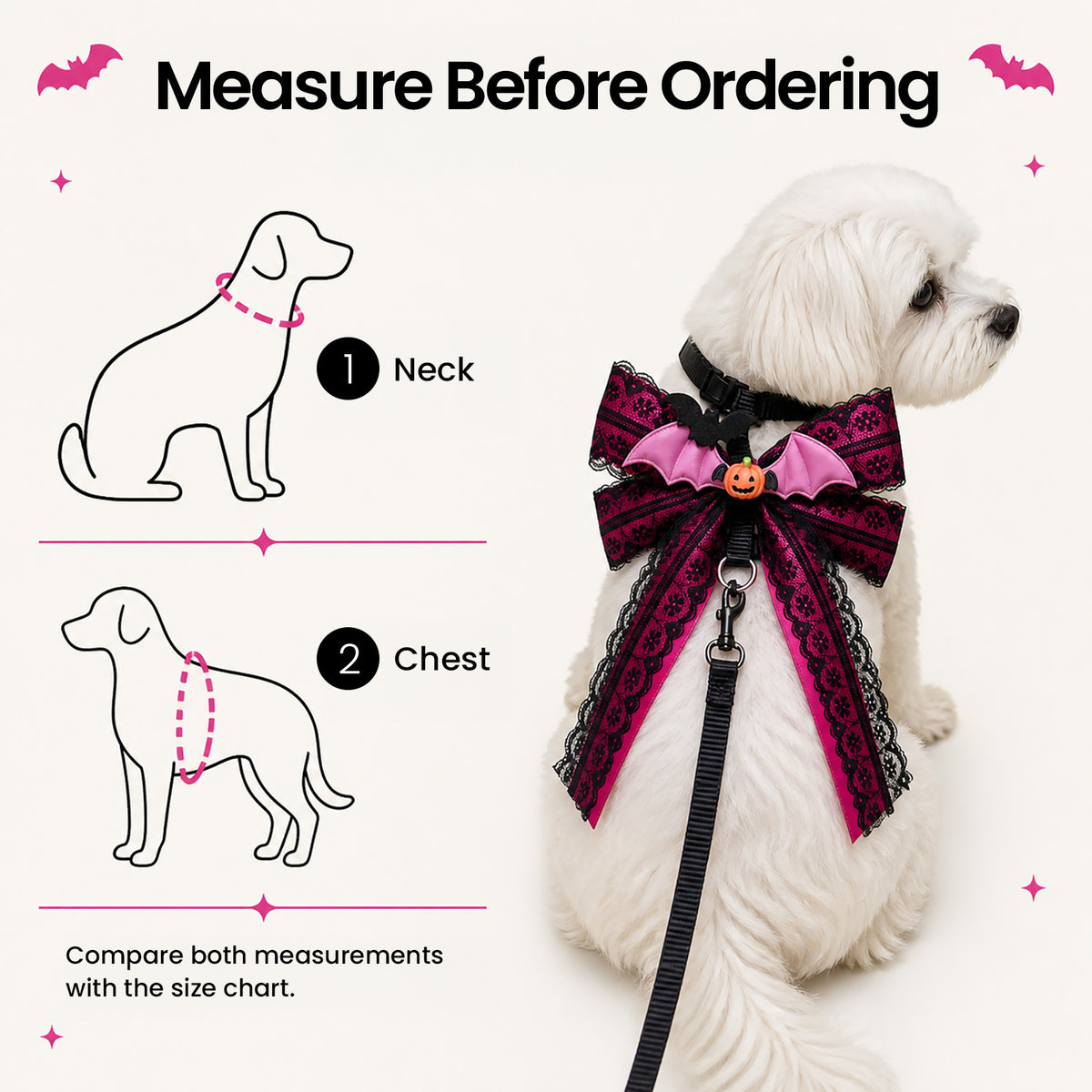 Midnight Bat Bow Harness