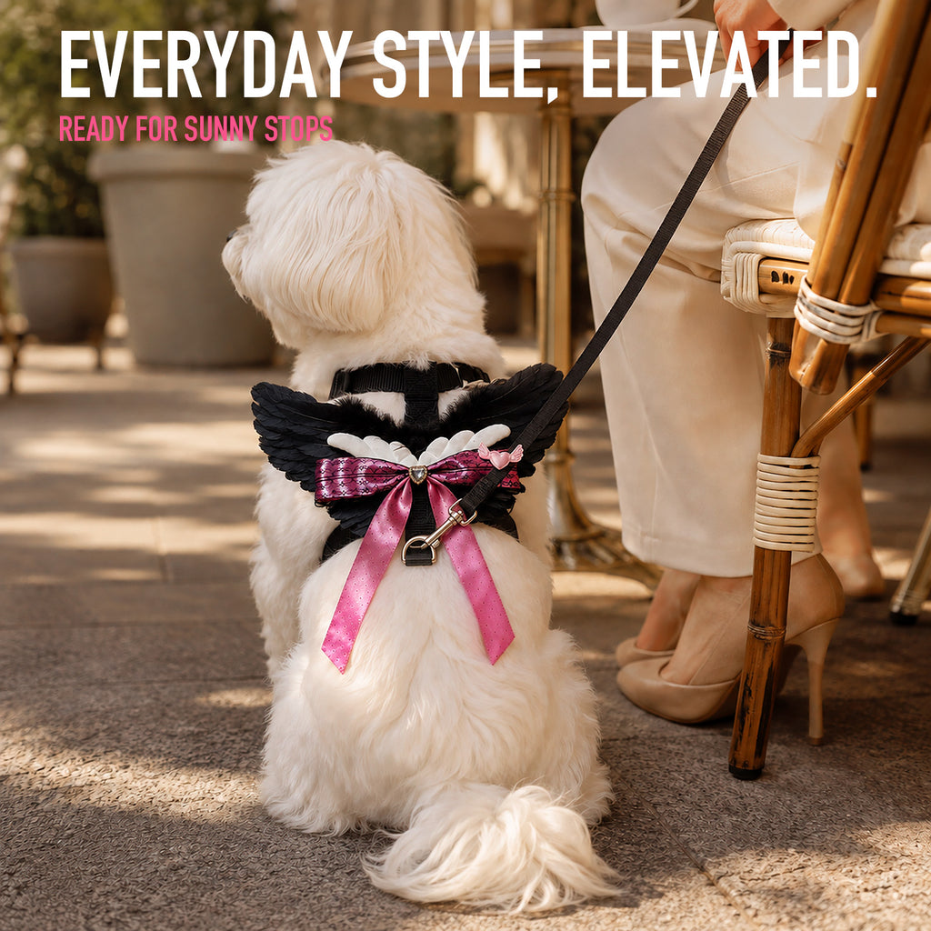 Angel Wings Harness & Leash
