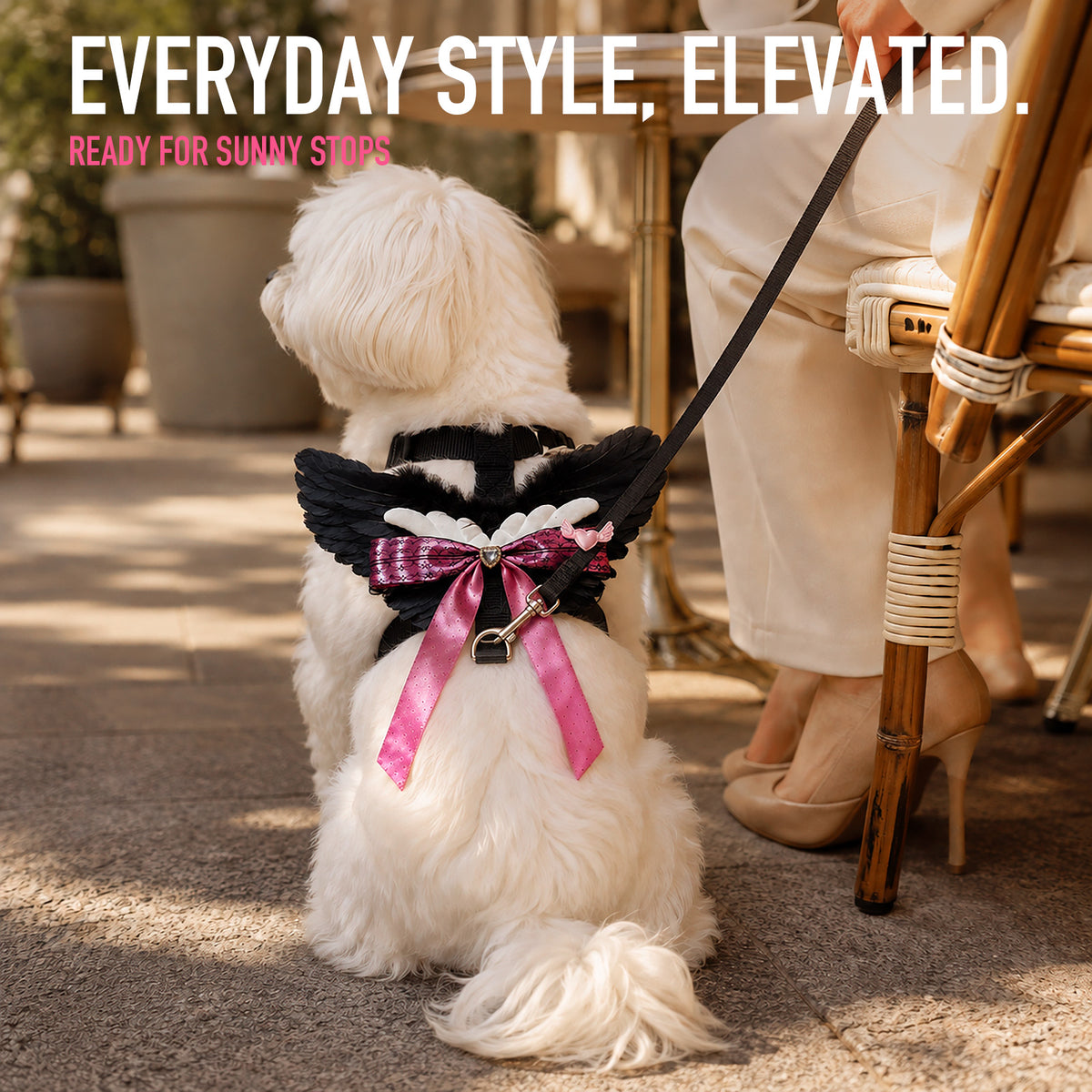 Angel Wings Harness & Leash