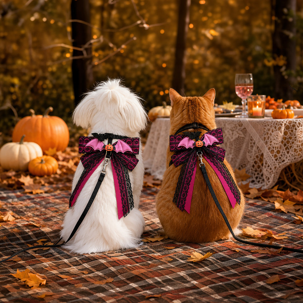 Midnight Bat Bow Harness