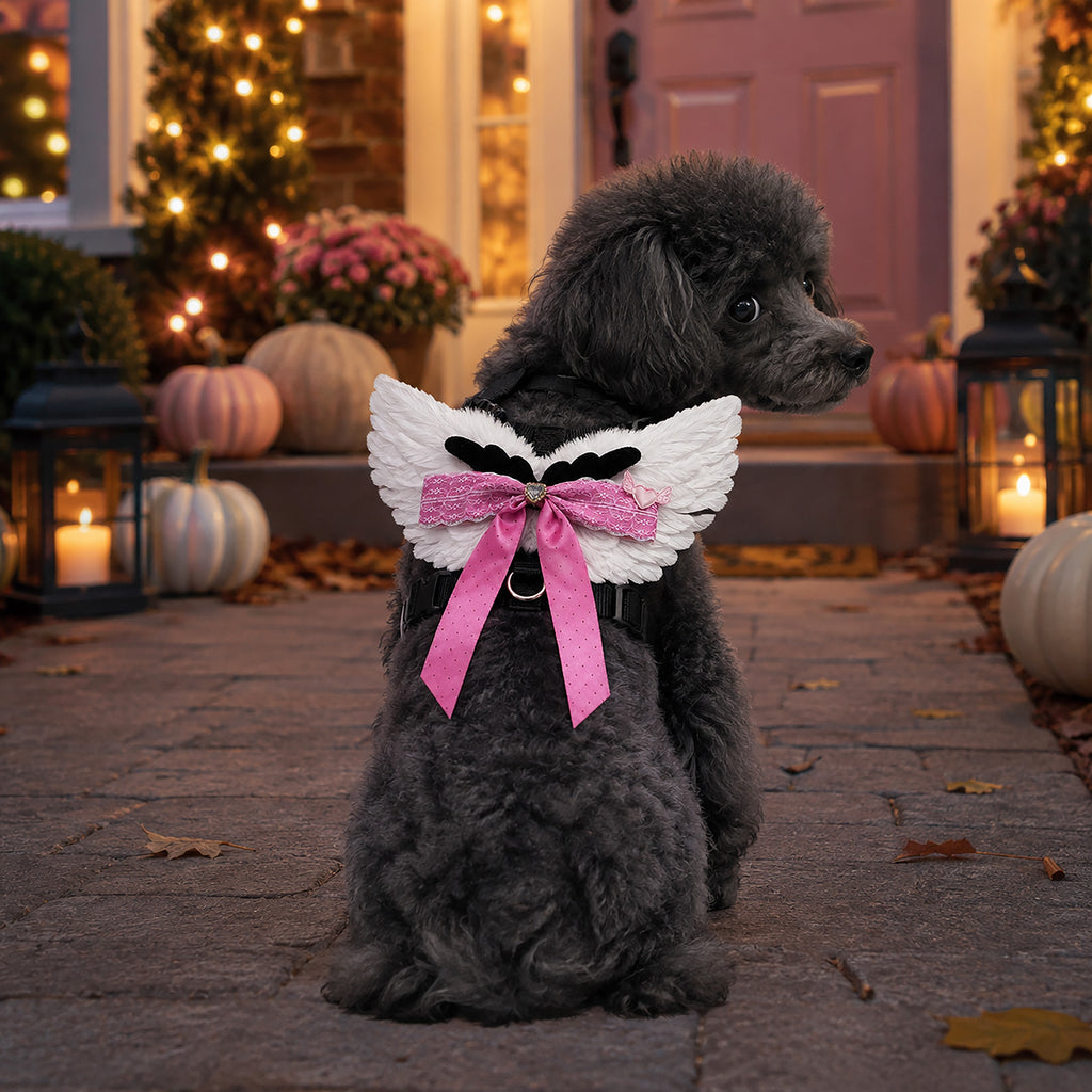 Angel Wings Harness & Leash